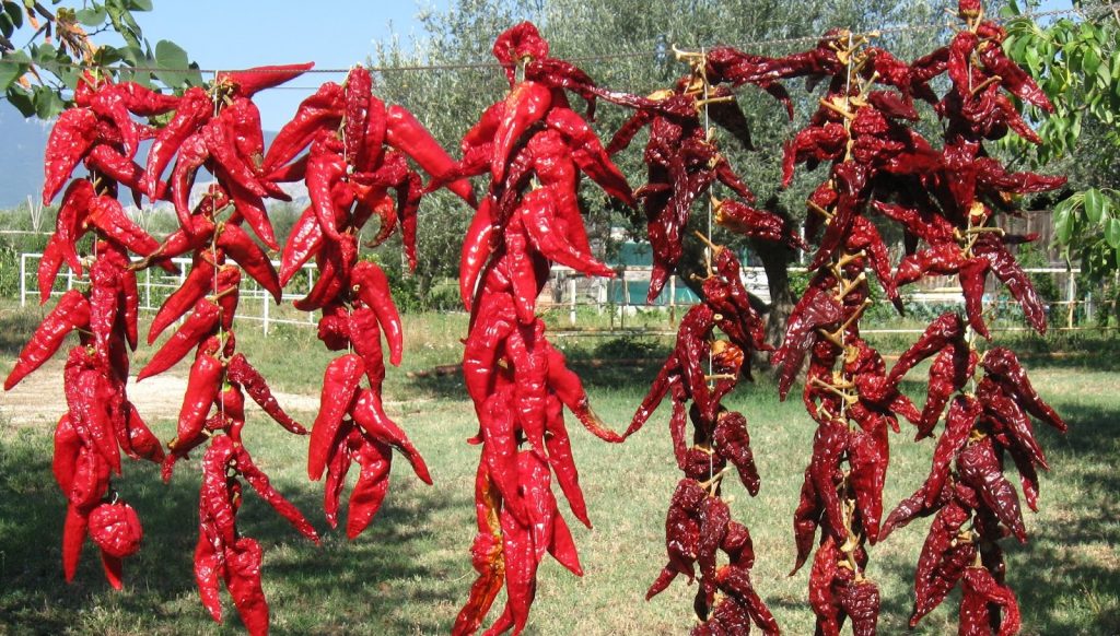 alimentos deshidratados